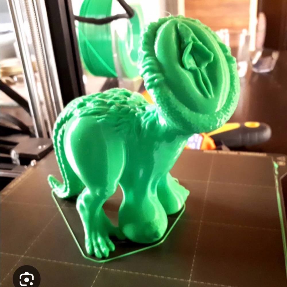 Cuntasaurus
